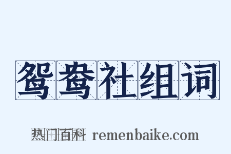 鸳鸯社组词是什么意思的图片